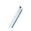 Fénycső 0,3m általános-hez G13 10W 640lm 840 fehér A-en.o. ORBITEC - 10T8/840
