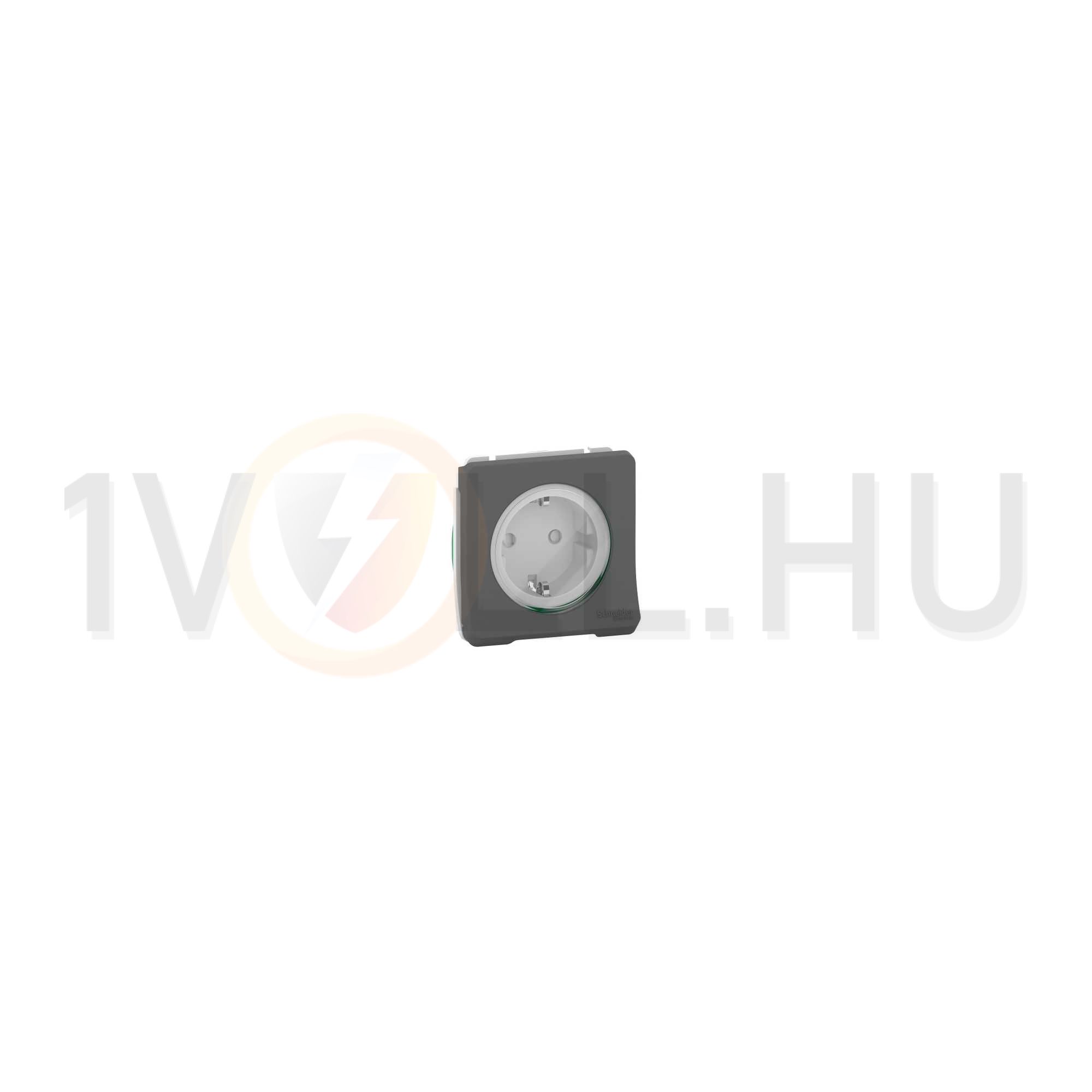 MurevaStyl 162 dugalj földelt szürke IP55 falonkívüli Schneider - MUR36135