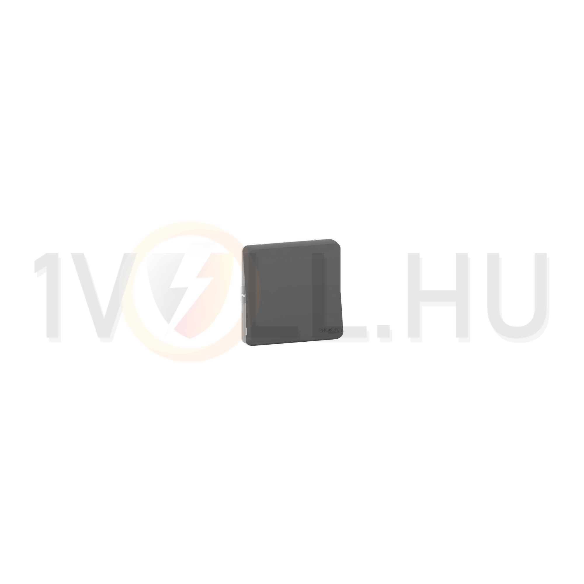 MurevaStyl N101 csengőnyomó betét 1- nyomógomb 1z antracit csengő IP55 címketartó Schneider - MUR35027
