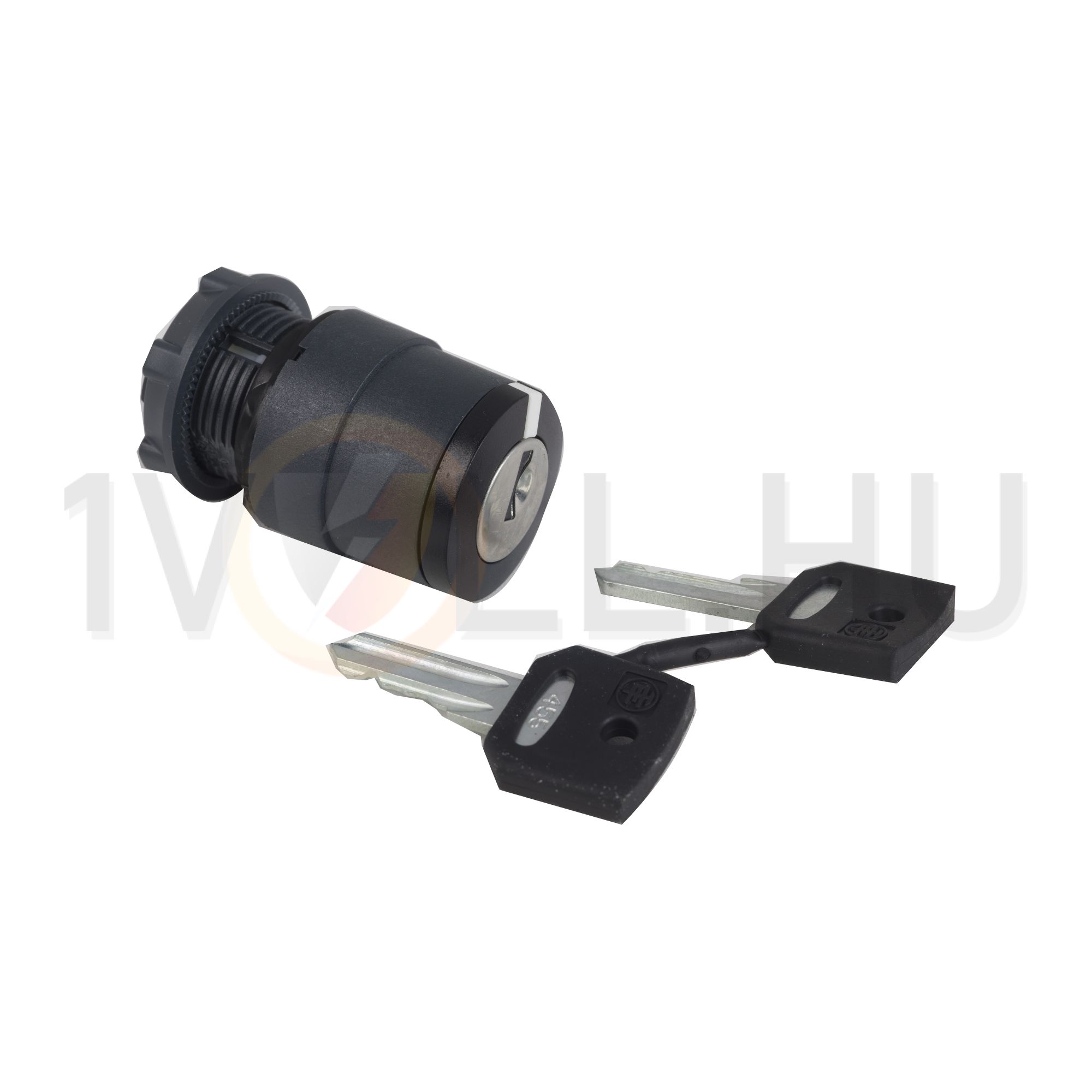 Választókapcsoló fej műanyag d22 Ronis455 kulcsos 2-állású reteszelt kerek Harmony XB5 Schneider - ZB5AG2