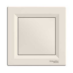 Asfora vakfedél kerettel vakfedél krém üres-jel IP20 műanyag fényes karom és csavar Schneider - EPH5600123
