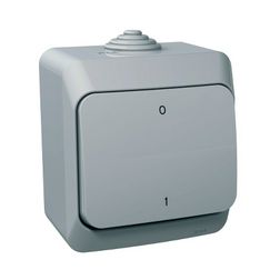 CedarPlus 102 2P kapcsoló betét komplett házban szürke falonkívüli IP44 1- Schneider - WDE000620