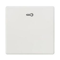 Delta I-System billentyű kulcs-jellel titánfehér egyes kapcs/nyg.-hoz fehér IP20 5TG SIEMENS - 5TG6208