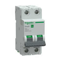 Kismegszakító 25A 2P B-jelleg 415V AC 6kA/60898 Easy9 Pro Schneider - EZ9F27225