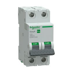 Kismegszakító 25A 2P C-jelleg 415V AC 6kA/60898 Easy9 Pro Schneider - EZ9F57225