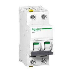 Kismegszakító 2P 6A C-jelleg 400V AC/DC 6kA/60898 20kA/60947 Acti9 iC60N Schneider - A9F04206