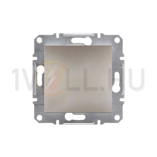Asfora vakfedél vakfedél bronz üres-jel IP20 műanyag karmos Schneider - EPH5600169