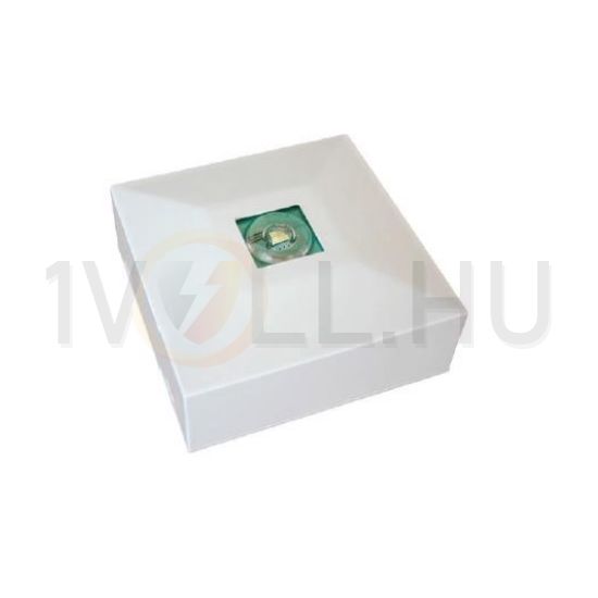 LED biztonsági világítás állandó/készenléti  folyosó mennyezet  CL-313/F SLAVE/CON/MB ASM-Securit - 300024