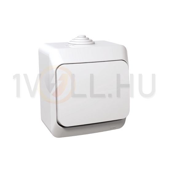 CedarPlus 101 1P kapcsoló betét komplett házban fehér falonkívüli IP44 billentyű/gomb Schneider - WDE000510