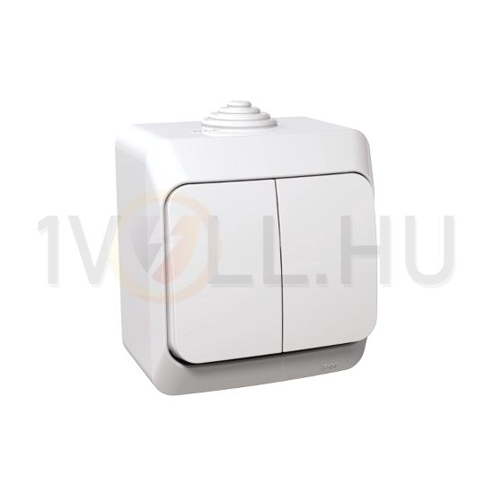 CedarPlus 105 2x1P csillárkapcsoló +jelzőfény betét komplett házban fehér falonkívüli Schneider - WDE000551
