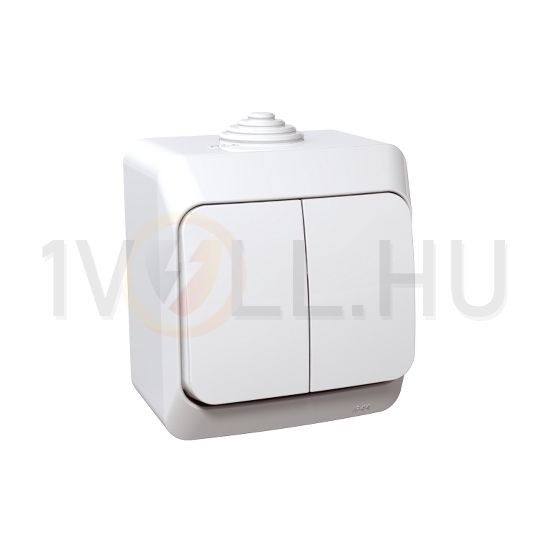 CedarPlus 105 2x1P csillárkapcsoló betét komplett házban fehér falonkívüli IP44 Schneider - WDE000550