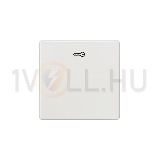 Delta I-System billentyű kulcs-jellel titánfehér egyes kapcs/nyg.-hoz fehér IP20 5TG SIEMENS - 5TG6208