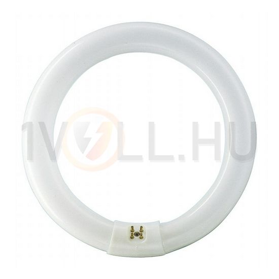 Fénycső általános-hez T9 G10q 40W 3100lm 865 13000h fehér A-en.o. TL-E 40W/865 1CT/12 Philips - 928027486570
