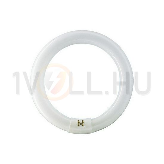 Fénycső általános-hez T9 G10q 40W 3200lm 840 13000h fehér A-en.o. TL-E 40W/840 1CT/12 Philips - 928027484070