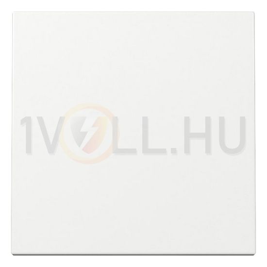 ST55 billentyű egyes kapocs műanyag fényes fehér IP20 GIRA - 329603