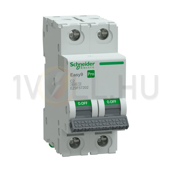Kismegszakító 2A 2P C-jelleg 415V AC 6kA/60898 Easy9 Pro Schneider - EZ9F57202