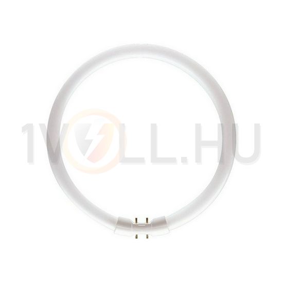 Körfénycső általános-hez T5 2GX13 40W 3300lm 840 MASTER TL5 Circular 40W/840 1CT/10 Philips - 927965584013