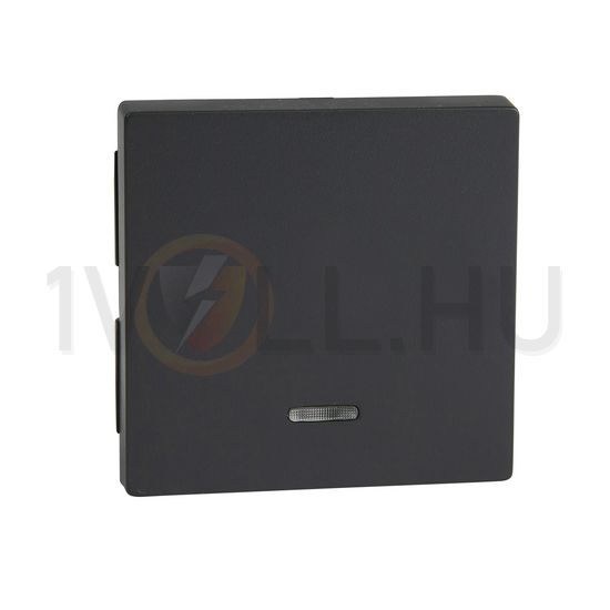 Merten-SM billentyű antracit üres-jel IP20 műanyag matt kapocs Schneider - MTN431014