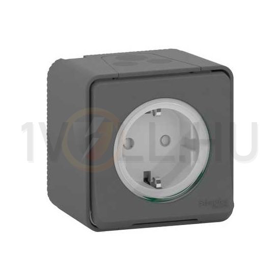 MurevaStyl 162 dugalj csapófedéllel gyerekzárral szürke IP65 falon kívüli rugós Schneider - MUR36034