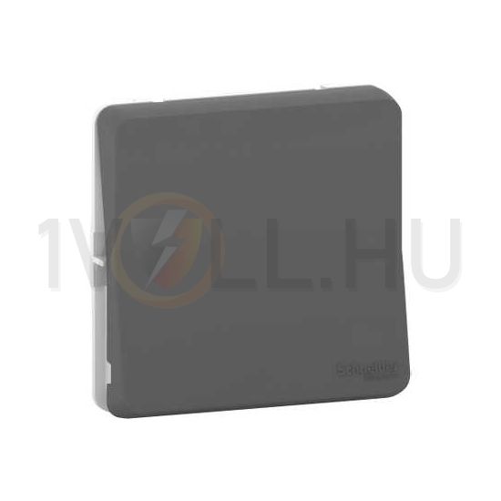 MurevaStyl N101 csengőnyomó betét 1- nyomógomb 1z antracit csengő IP55 címketartó Schneider - MUR35027