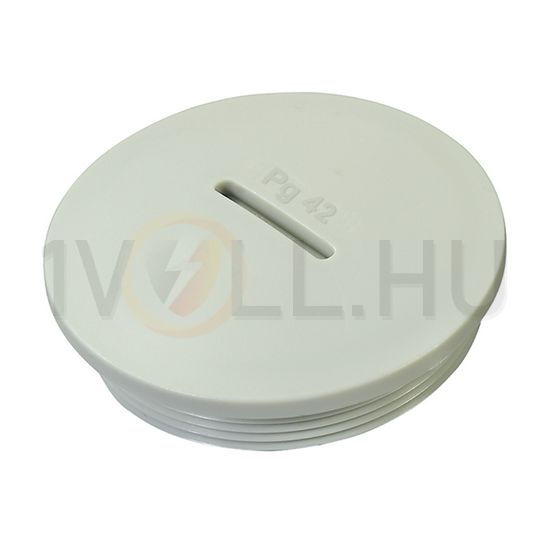 Tömszelence záródugó PG36 vakdugó PG 36 műanyag szürke Haupa - 250226
